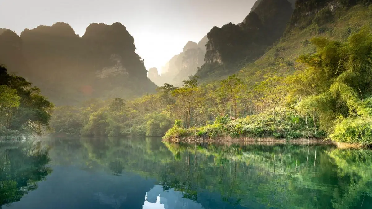 科技独特高质量